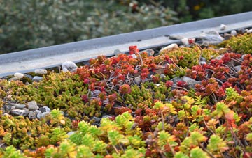 the cost of Oxwich Green green roof installation