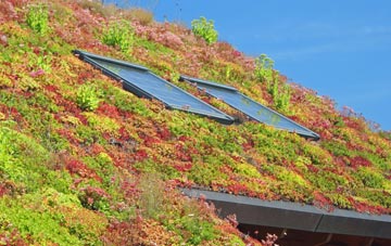 Oxwich Green living roof systems