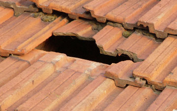 roof repair Oxwich Green, Swansea